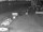 Webcam in Heringsdorf (Usedom), 19 km