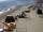 Webcam in Heringsdorf (Usedom), 2 km