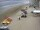 Webcam in Heringsdorf (Usedom), 7.2 mi away
