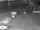Webcam in Heringsdorf (Usedom), 19 km