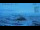Webcam in Progress Station, 42.1 mi away