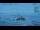 Webcam in Progress Station, 2293 km entfernt