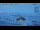 Webcam in Progress Station, 2293 km