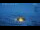 Webcam in Progress Station, 552.8 mi away