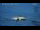 Webcam in Progress Station, 2558.9 km