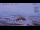 Webcam in Progress Station, 884.7 mi away