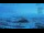 Webcam in Progress Station, 2558.8 km