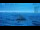 Webcam in Progress Station, 2293 km