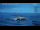 Webcam in Progress Station, 884.7 mi away