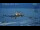 Webcam in Progress Station, 552.8 mi away
