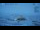 Webcam in Progress Station, 884.7 mi away