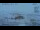 Webcam in Progress Station, 1432.6 km entfernt