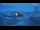 Webcam in Progress Station, 1452.5 km