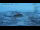 Webcam in Progress Station, 1452.5 km