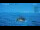 Webcam in Progress Station, 2738.2 km