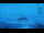 Webcam in Progress Station, 2558.9 km entfernt