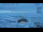 Webcam in Progress Station, 2632.9 km entfernt