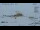 Webcam in Progress Station, 552.8 mi away