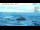 Webcam in Progress Station, 2293 km