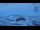 Webcam in Progress Station, 552.8 mi away