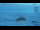Webcam in Progress Station, 42.1 mi away