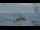 Webcam in Progress Station, 1452.5 km
