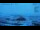 Webcam in Progress Station, 1452.5 km entfernt