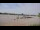 Webcam in Bordeaux, 0 km
