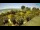 Webcam in Fažana, 3.7 mi away