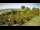 Webcam in Fažana, 9.6 km entfernt