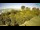 Webcam in Fažana, 2.3 mi away