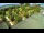 Webcam in Fažana, 1.5 mi away