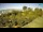 Webcam in Fažana, 0.1 mi away