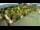 Webcam in Fažana, 6 km entfernt