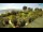 Webcam in Fasana, 15 km
