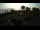 Webcam in Fažana, 9.7 km