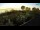 Webcam in Fažana, 15 km