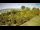 Webcam in Fažana, 8.7 km