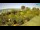 Webcam in Fasana, 1.2 km