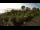 Webcam in Fažana, 0.5 mi away