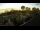 Webcam in Fažana, 1.2 km