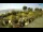 Webcam in Fasana, 15 km
