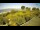 Webcam in Fažana, 9.7 km