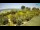 Webcam in Fažana, 3.8 km