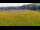 Webcam in Medvode, 3.7 km entfernt
