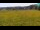 Webcam in Medvode, 8.1 mi away