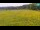 Webcam in Medvode, 3.7 mi away