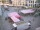 Webcam in Chemnitz, 30.3 km entfernt