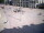 Webcam in Chemnitz, 8.3 mi away