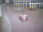 Webcam in Chemnitz, 11 km entfernt